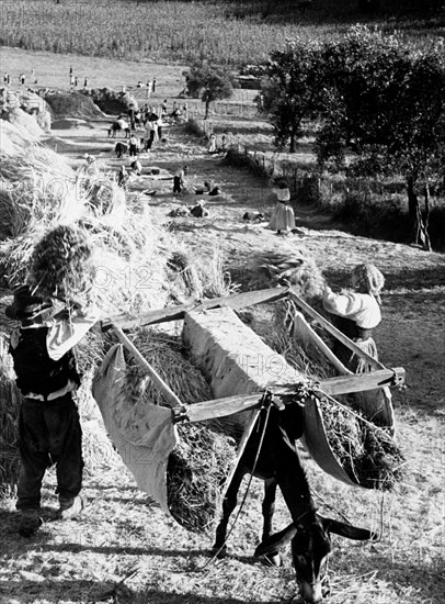 roman countryside, 1930-1940