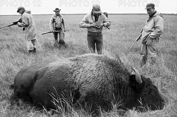 usa, canada, buffalo, hunters, 1961