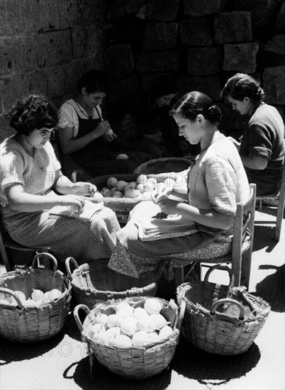 emballage de citrons à sorrento, 1957