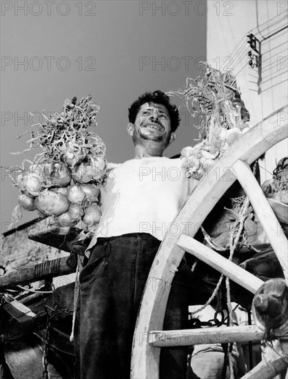 italie, campanie, naples, colporteur d'ail, 1956