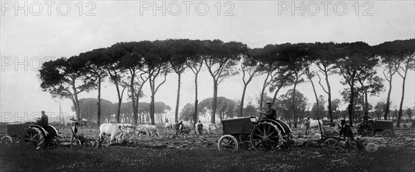 italie, toscane, coltano, agriculteurs au travail avec des tracteurs fiat, 1921