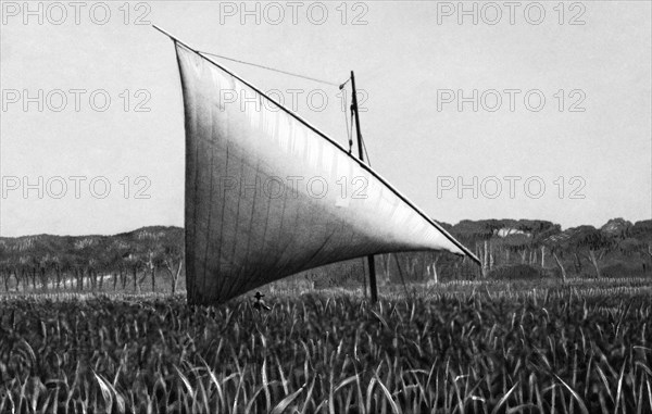 italie, toscane, pise, coltano, agriculteur au travail, 1921