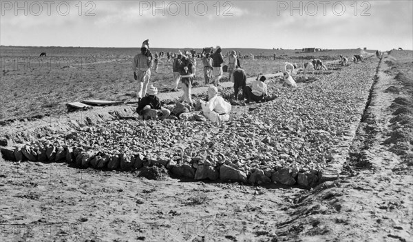 afrique, libye, ouvriers pendant la construction de la route côtière, 1920