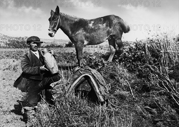 italie, sicile, piana dei greci ou piana degli albanesi, agriculteur avec tasse caractéristique, années 1930