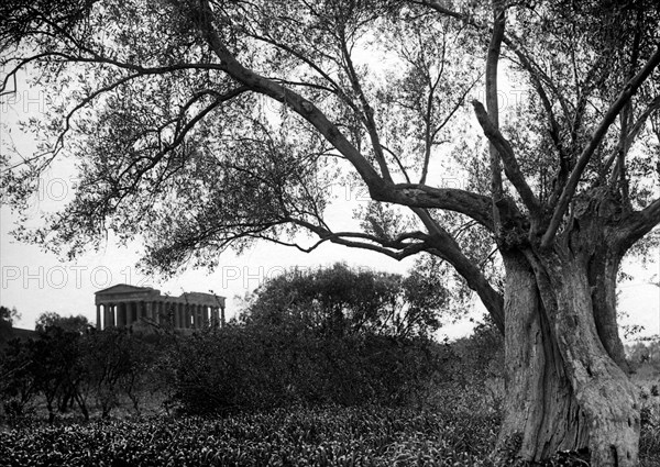 europe, italie, sicile, agrigento, vue du temple de la concorde, 1920 1930