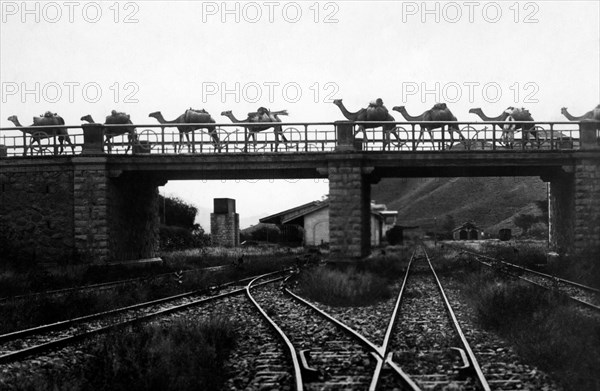 afrique, eritrea, cheren - agordat line flyover, 1920