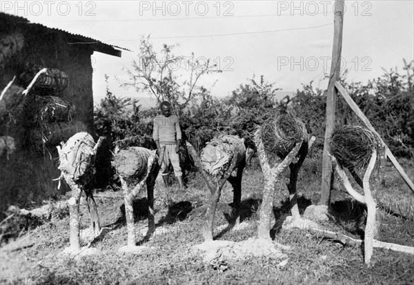 afrique, éthiopie, ruches, 1920 1930