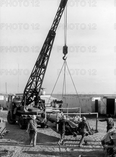 afrique, algérie, désert du sahara, transport de tuyaux, 1940 1950