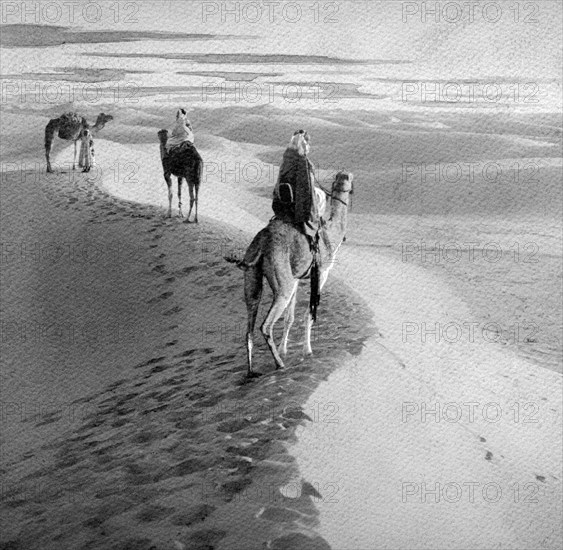 afrique, algérie, dans les dunes du désert avec des chameaux, 1910