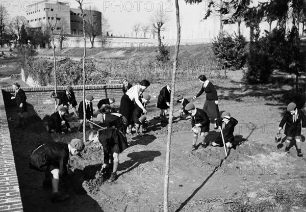 europa, italie, turin, colonie permanente 3 janvier, travail agricole, 1930