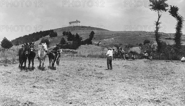 battage, campobasso, molise, italie 1920 1930