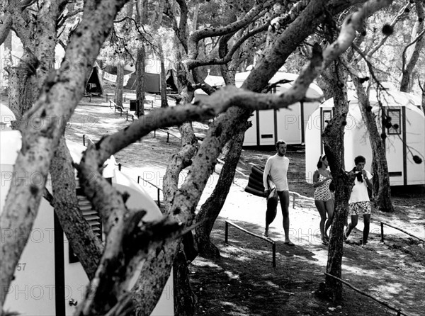 italie, îles tremiti, camping, 1960-1970