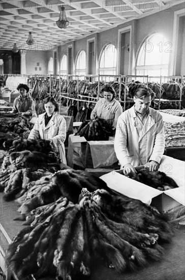 Tanning of hides and skins of sable. leningrad 1960