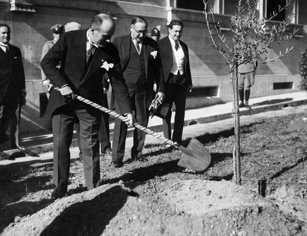 Italy. Rome. Mussolini at the Institute of Agriculture plants the symbolic olive tree. 1930