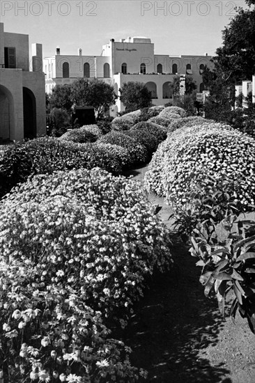 Italy. Campania. Capri Island. View Of Anacapri. 1955