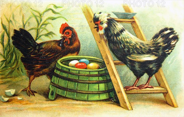 Hen and a rooster near their nests with colored eggs.