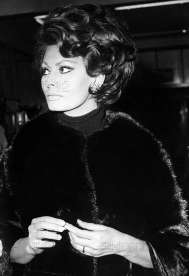 Sophia loren