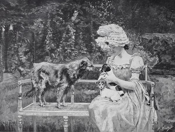 Girl With Two Dog Puppies Sitting On A Bench