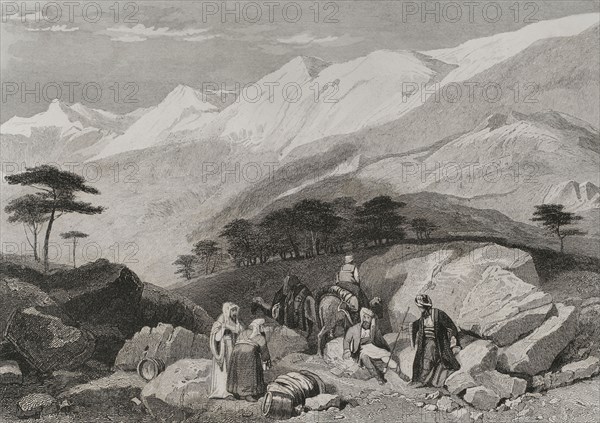 Mount Lebanon. Cedars. Engraving by Ransonnette. ""La Tierra Santa y los lugares recorridos por los profetas, por los apostoles y por los cruzados"" (The Holy Land and the sites traversed by the prophets, by the apostles and by the crusaders). Published in Barcelona by the printing house of Joaquin Verdaguer, 1840.