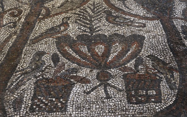 Floor mosaic from the Basilica of  St. Sophia in Sofia, Bulgaria. It was located in the apse of the first ecclesiastical building on the site of the basilica. First quarter of the 4th century AD. Symbolic depiction of the Christian Paradise. Two cypresses on both sides, intertwined with vine branches (rinceaux). The doves represent the souls of believers. Made of stone and coloured glass tesserae using the opus vermiculatum and opus tesselatum techniques. 2,70 x 2,60 m. Detail. National Archaeological Museum. Sofia. Bulgaria.