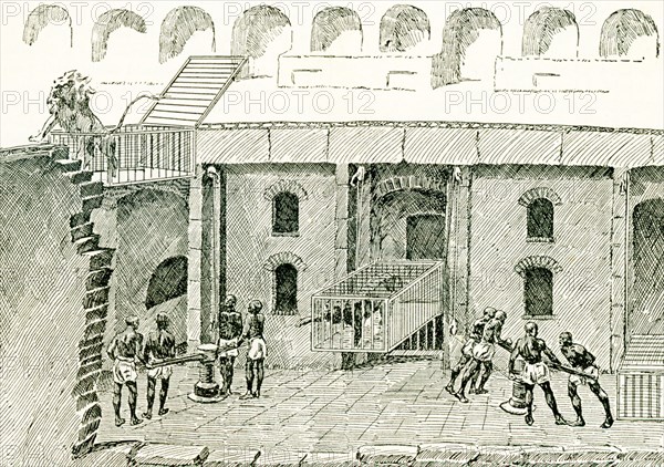 This illustration dates to 1897 and shows the method of raising wild beasts in the amphitheatre in ancient Rome. Excavations in 1874-1875 offer evidence that the arena in the Colosseum had an actual flooring of boards, covered with sand, and movable. There must have been a souterrian or vaults at intervals, at least, if not throughout, beneath the arean as sometimes animals suddenly issued from beneath the ground and machinery of different kinds was raised up from below, and afterwards disappeared in the same manner.