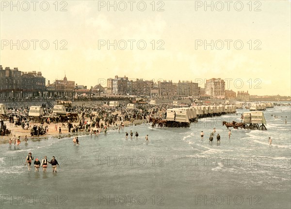 Beach and ladies' bathing place.