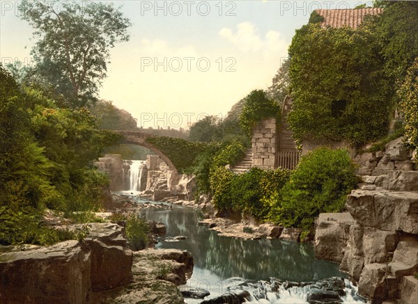 Jesmond Dene.