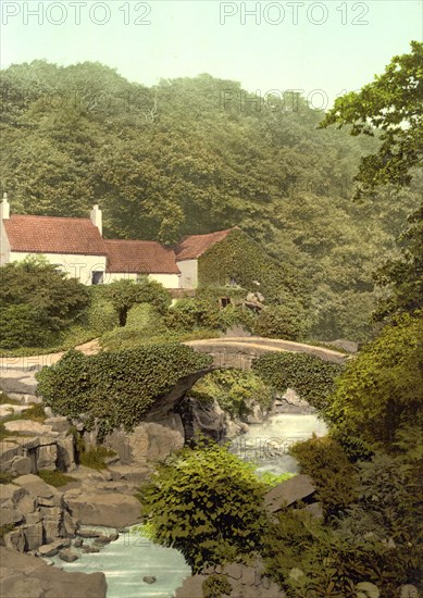 Jesmond Dene.