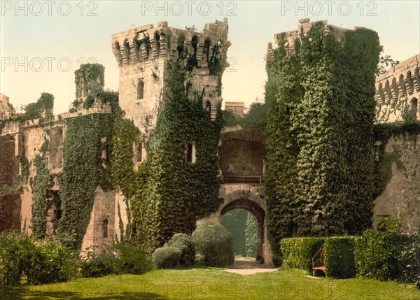 Raglan Castle.