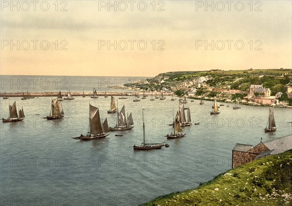 Hafen von Brixham.