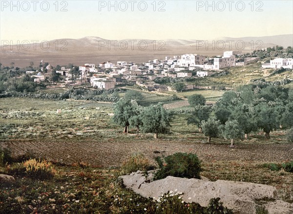 General view of Jenin.