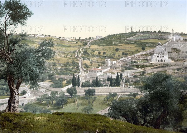 Mount of Olives and Gethsemane.