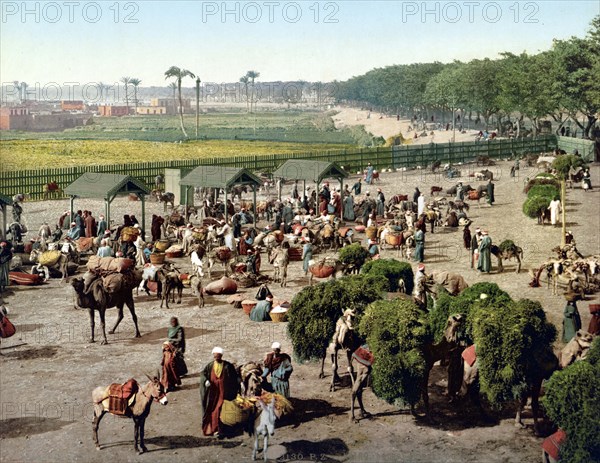 Grant to the Nile Bridge.