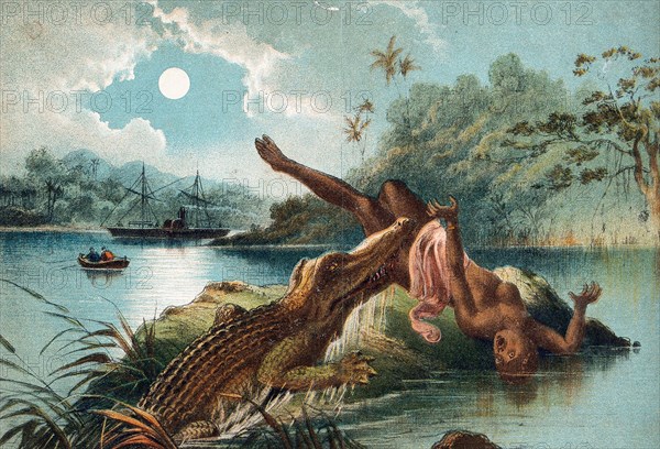 crocodile emerging from the Zambezi River and biting off a woman's leg. The woman is taken by surprise and falls backwards off the stone in the water on which she was standing. An episode in the Zambezi River described by David Livingstone, circa 1850, Historical, digitally restored reproduction from an original of the time..