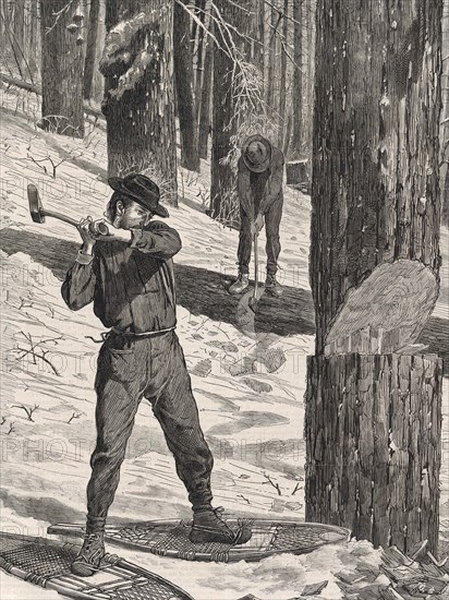 Woodcutter working in the forest in winter.