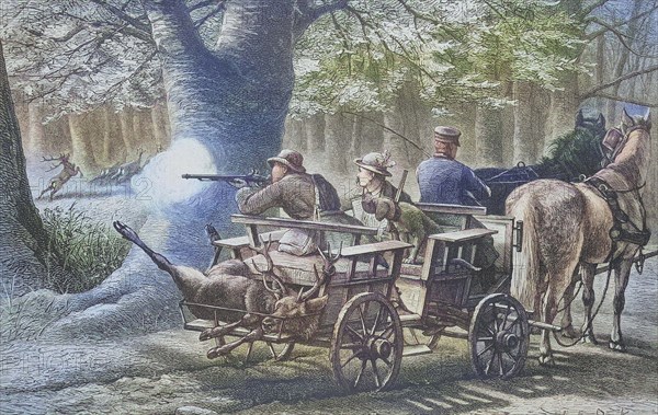 Hunter shoots a stag from the carriage.