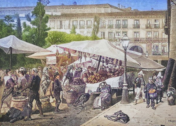 Market on the Plaza Major in Madrid.