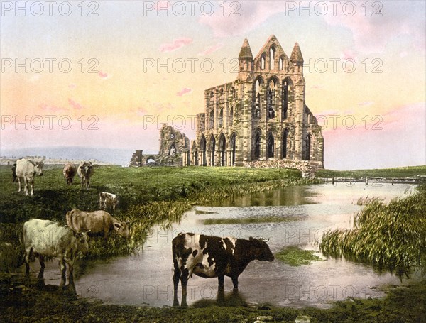 Whitby Abbey