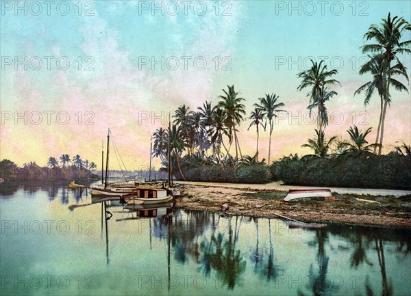 The Miami River