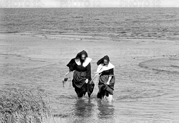 Two Nuns Clamming In NY