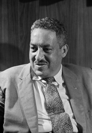 Portrait Of Thurgood Marshall