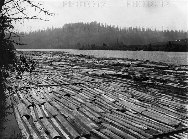 Logging Rafts In Oregon