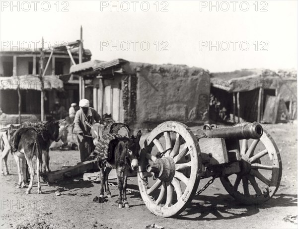 Central Asian Cannon