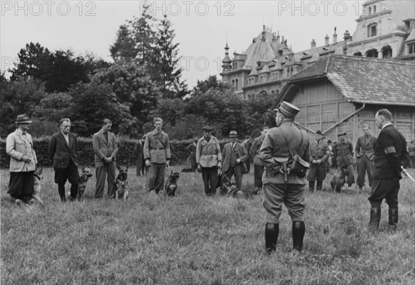 Army auxiliaries, dogs, dog handlers.