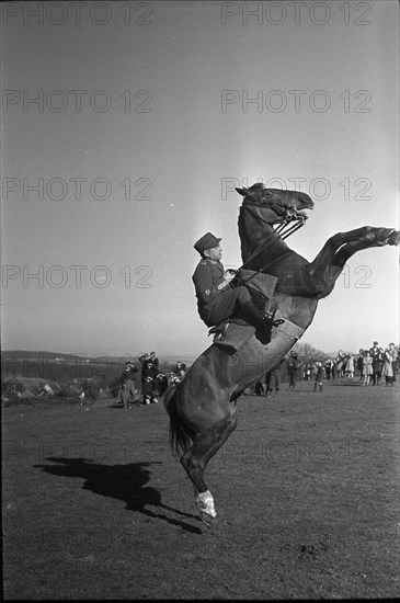 Willow near Chevenez; Cavalryman riding his horse.