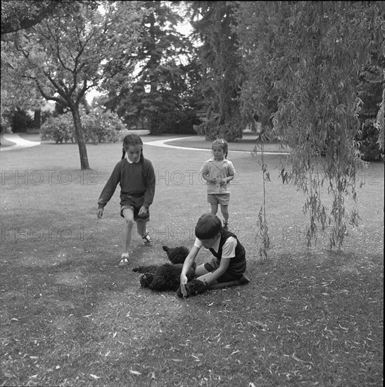 Geraldine, Josephine and Michael Chaplin, 1953.