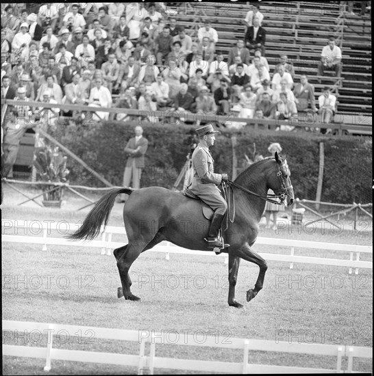 Olympic Games Rome 1960: Gustav Fischer and Wald.