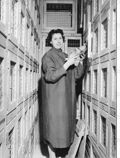 Woman in cooperative cold-storage room .