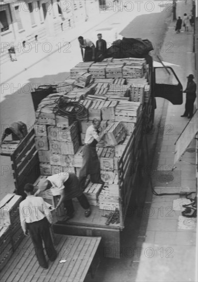 Men unloading truck; fruits in case; 1945.