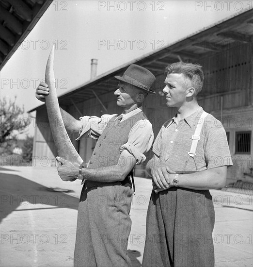 Examination of farmers at Wallierhof, Riedholz 1945